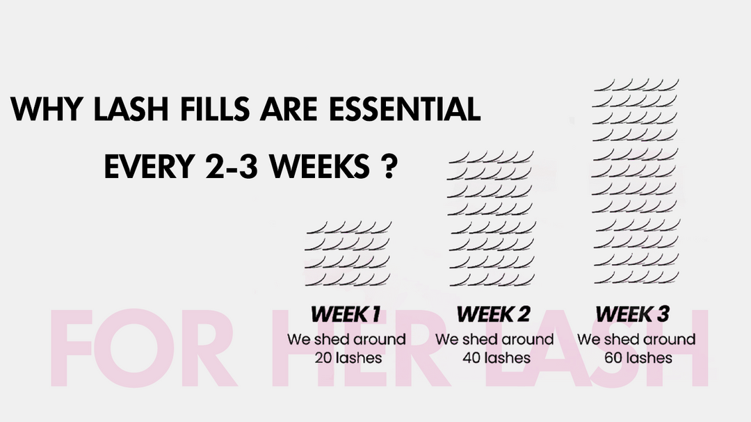 Why Lash Fills Are Essential Every 2-3 Weeks