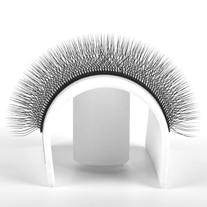 W Shape 5D Premade Volume Fan Lashes