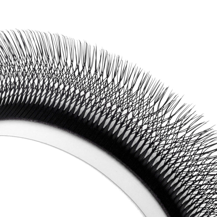 W Shape 5D Premade Volume Fan Lashes